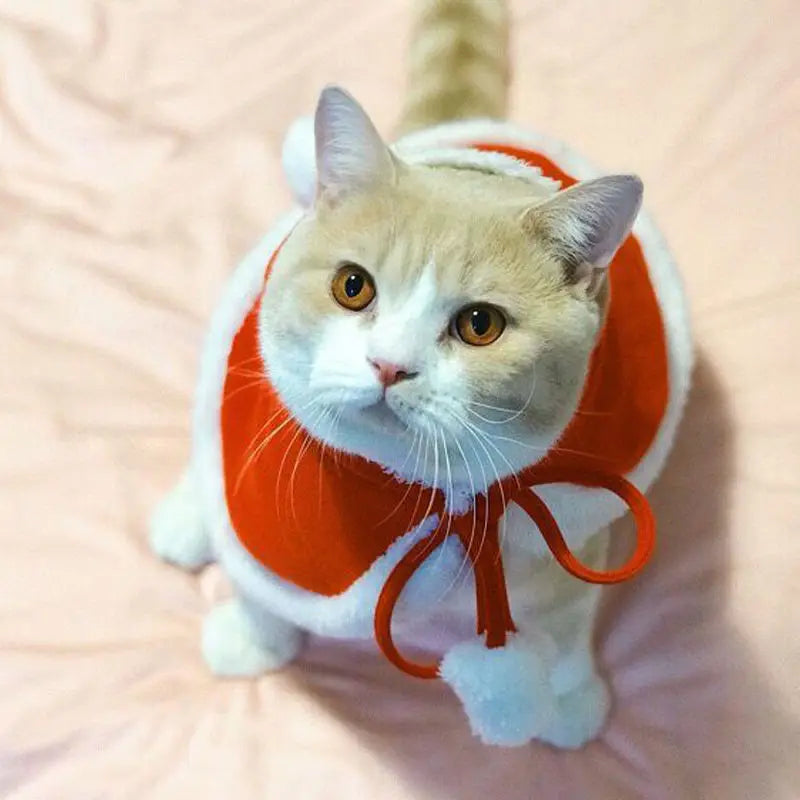 Traje de gato santa cosplay engraçado transformado gato/cachorro animal de estimação capa de natal vestir roupas lenço vermelho manto adereços decoração