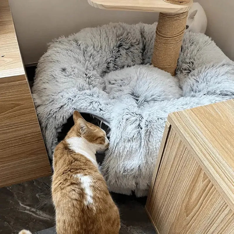 Cama de gato de pelúcia com túnel para gatos internos, cama de túnel de gato multifuncional com olho mágico, cama de gato rosquinha fofa com túnel