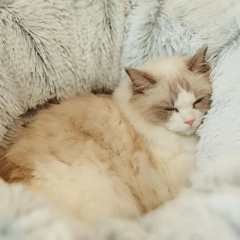 Cama de gato de pelúcia com túnel para gatos internos, cama de túnel de gato multifuncional com olho mágico, cama de gato rosquinha fofa com túnel