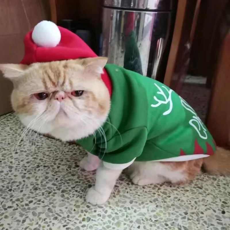 Natal sphynx gato com capuz camisola inverno quente pet traje para gatos gotas katten garfield roupas moletom mascotas roupas